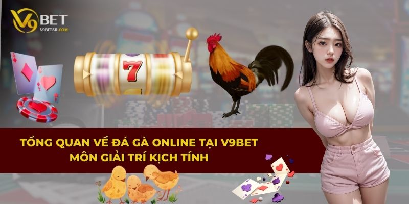 Tổng quan về đá gà online tại V9BET – Môn giải trí kịch tính