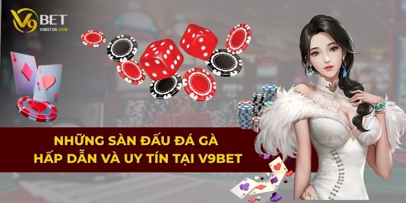 Những sàn đấu đá gà hấp dẫn và uy tín tại V9BET