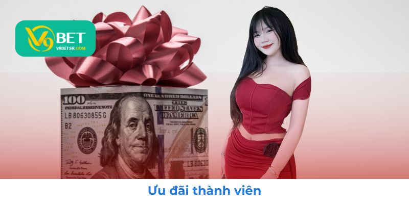 Khuyến mãi hấp dẫn dành riêng cho thành viên